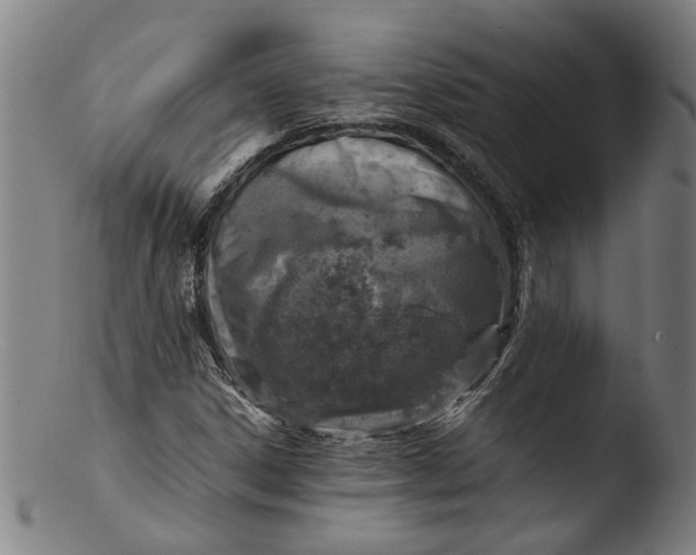 X0000103431306200809261721