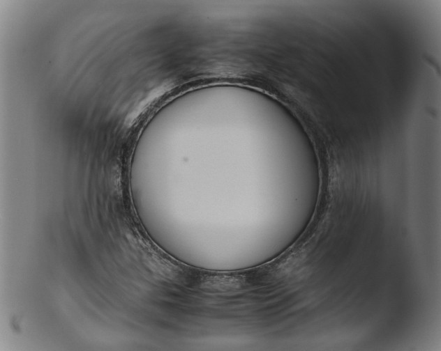 X0000103431307200809261721