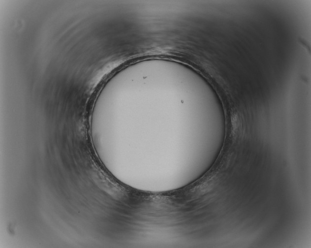 X0000103431308200809261721