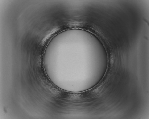 X0000103431309200809261721