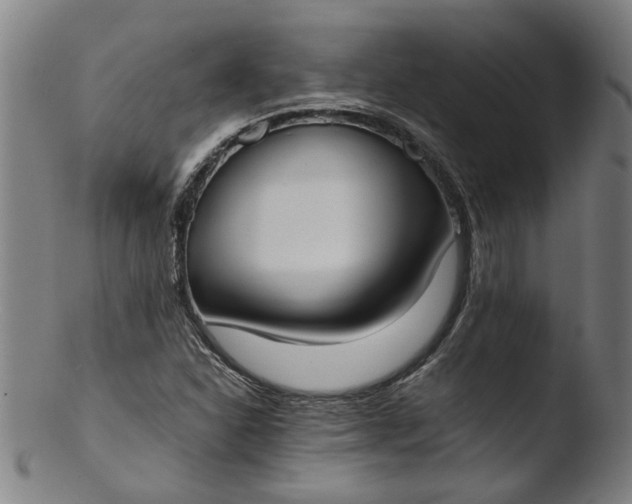 X0000103431310200809261721