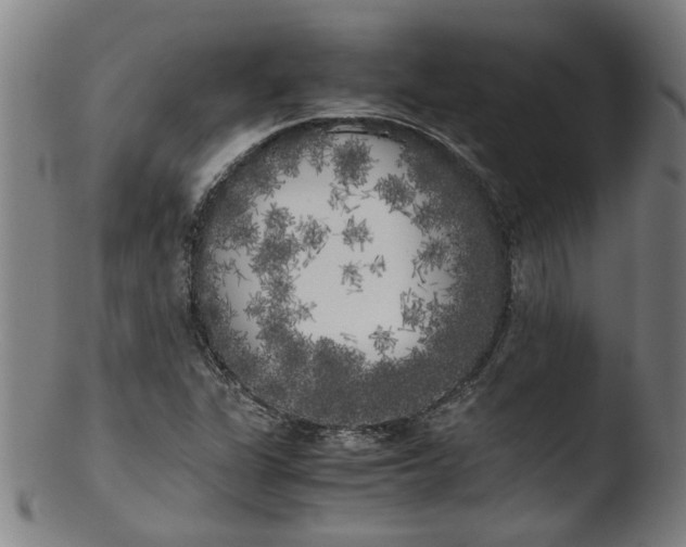 X0000103431311200809261721