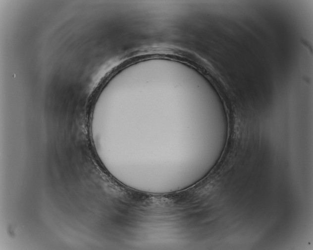 X0000103431312200809261721