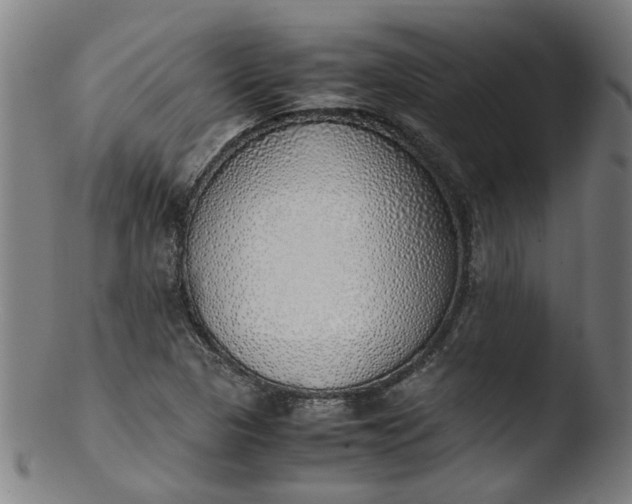 X0000103431313200809261721