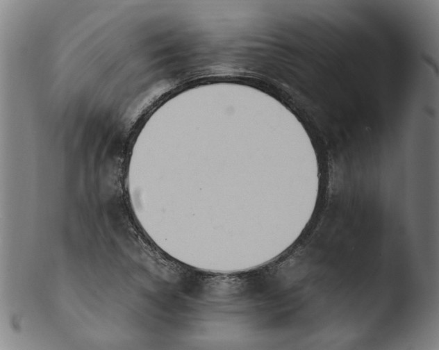 X0000103431314200809261721