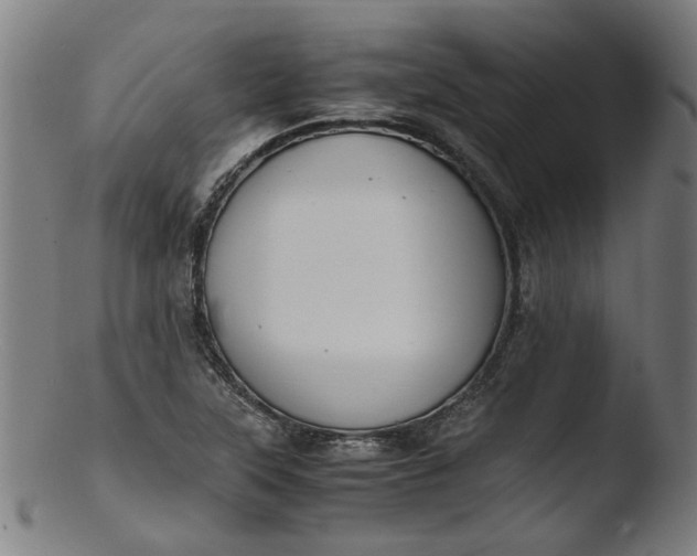 X0000103431315200809261721