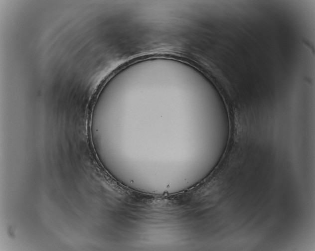 X0000103431316200809261721