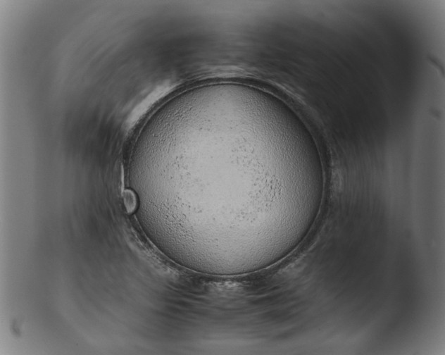 X0000103431317200809261721