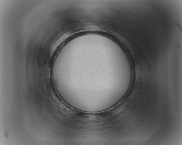 X0000103431318200809261721