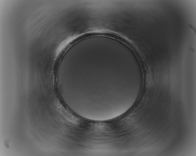 X0000103431319200809261721