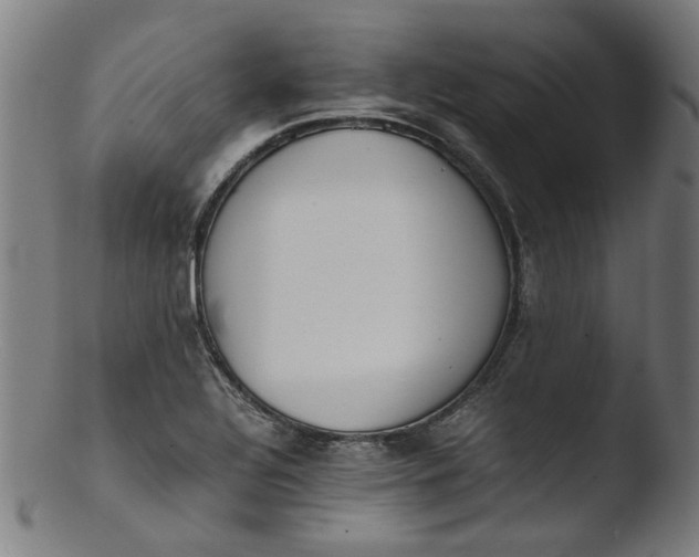 X0000103431320200809261721