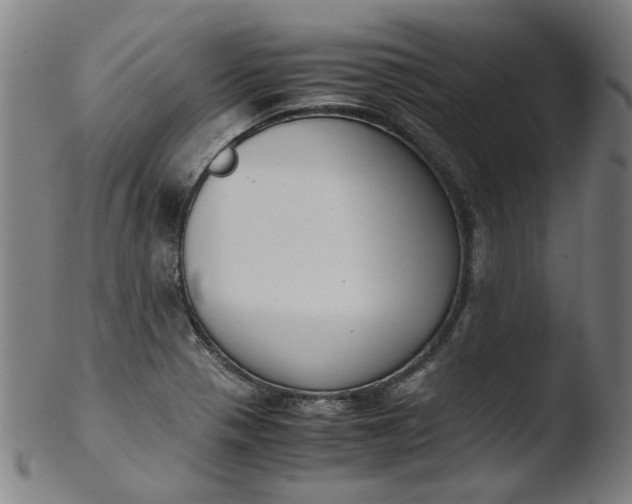 X0000103431321200809261721