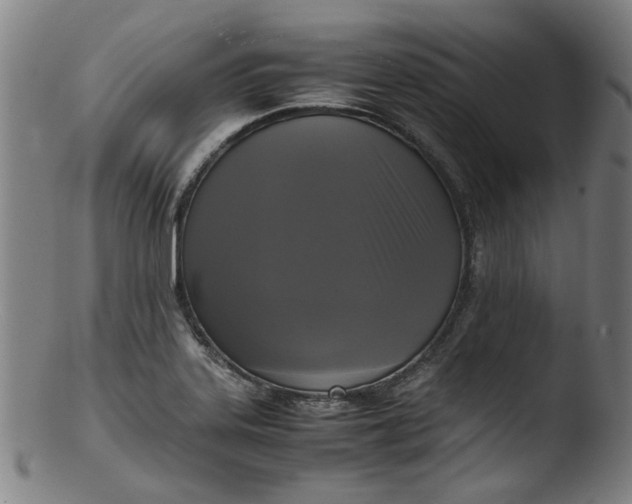 X0000103431323200809261721