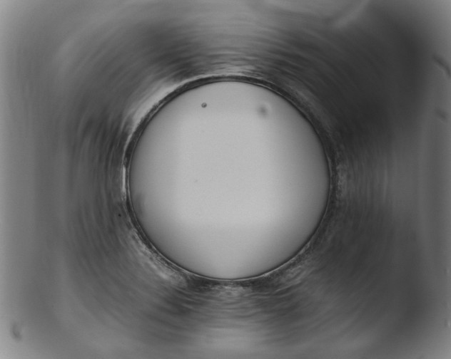 X0000103431324200809261721