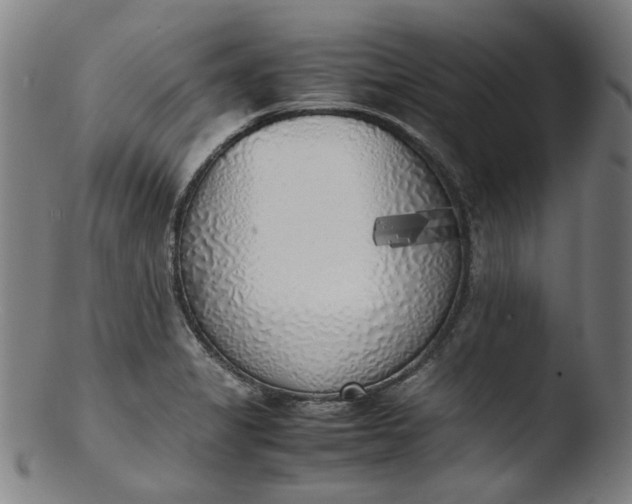 X0000103431325200809261721