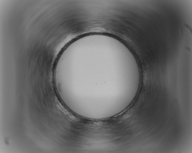 X0000103431326200809261721