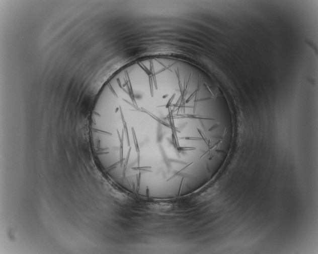 X0000103431329200809261721