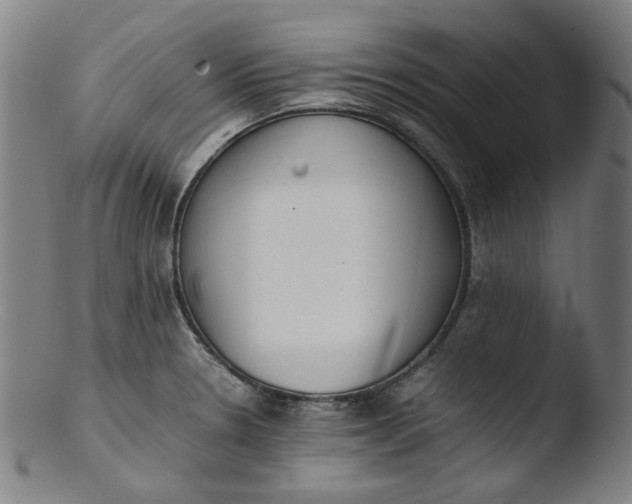 X0000103431330200809261721