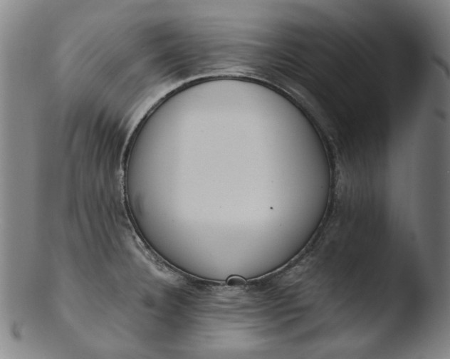 X0000103431332200809261721