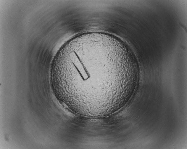 X0000103431333200809261721