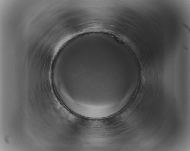 X0000103431334200809261721