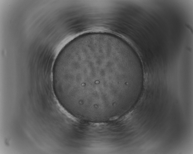 X0000103431335200809261722