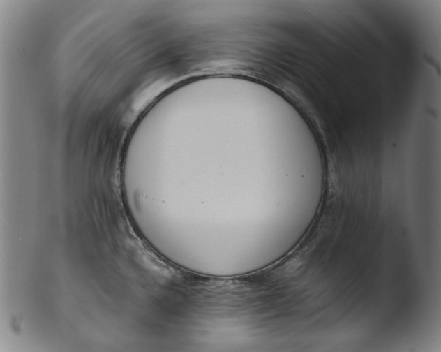 X0000103431336200809261722