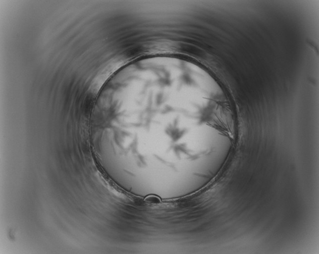 X0000103431337200809261722