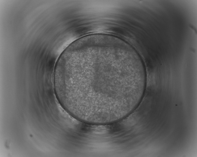 X0000103431338200809261722