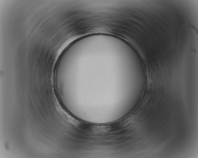 X0000103431339200809261722