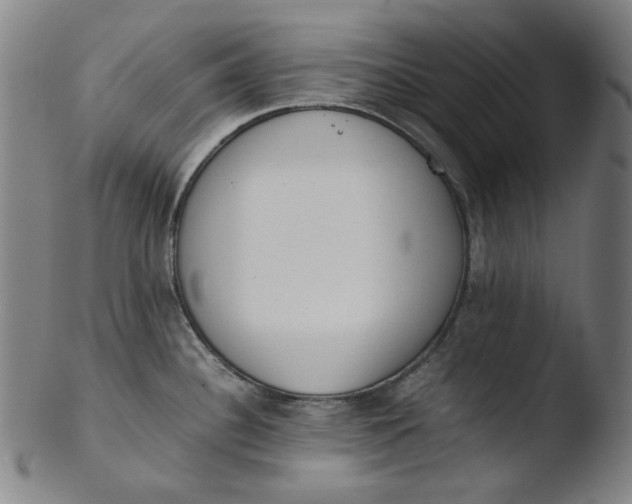 X0000103431340200809261722