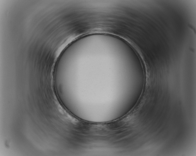 X0000103431341200809261722