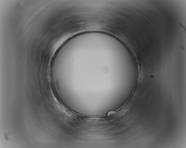 X0000103431342200809261722