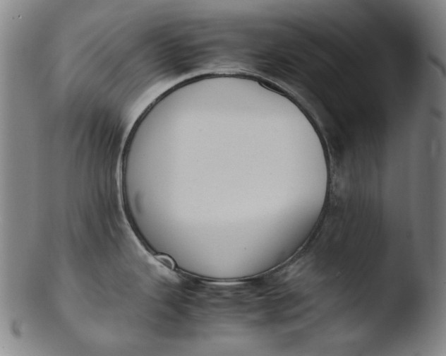 X0000103431343200809261722