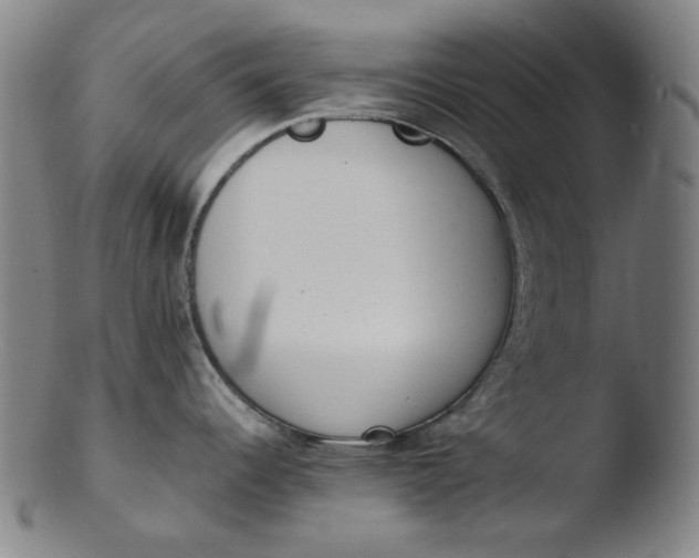 X0000103431344200809261722