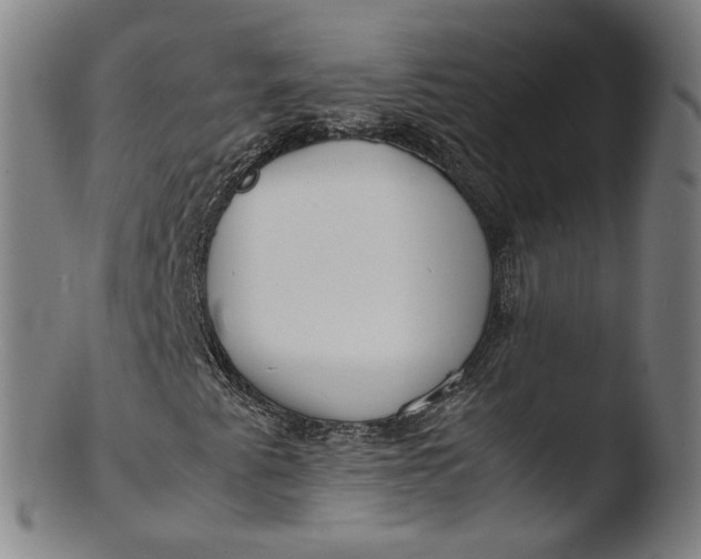 X0000103431345200809261721