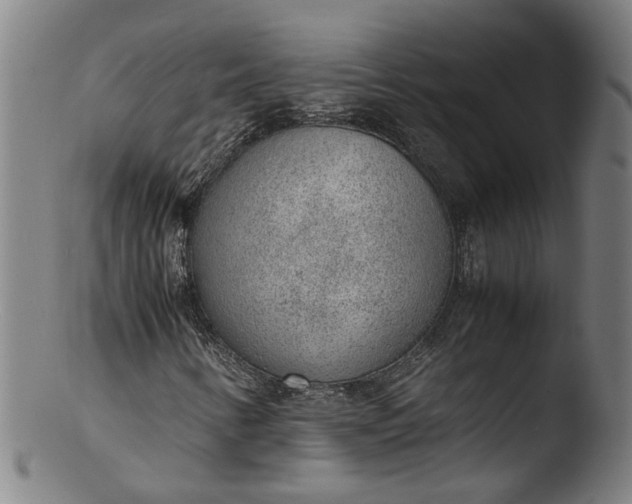 X0000103431346200809261721