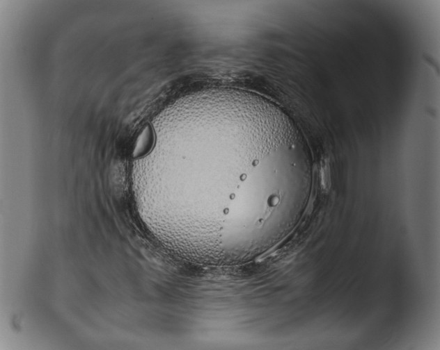 X0000103431347200809261721