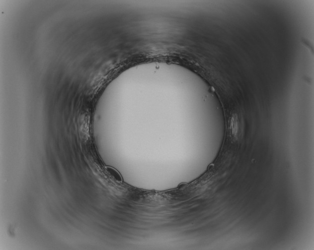 X0000103431348200809261721