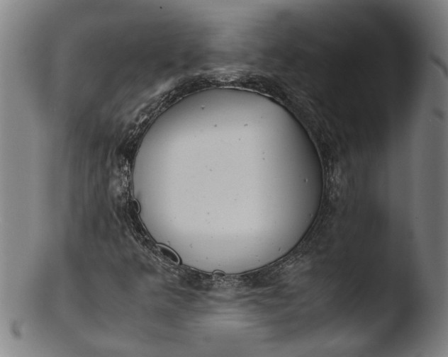 X0000103431349200809261721