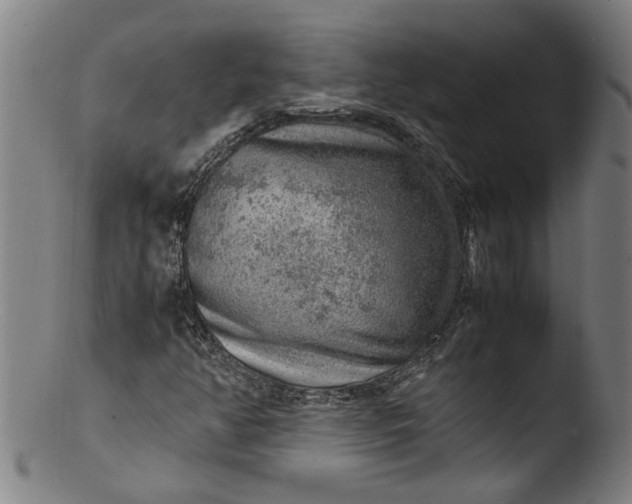 X0000103431350200809261721