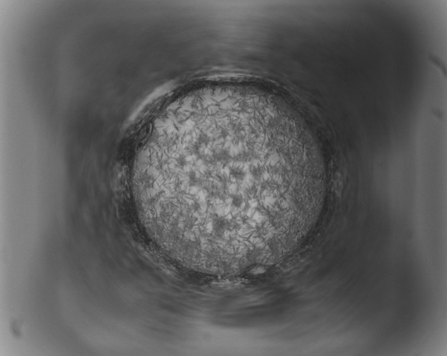 X0000103431351200809261721