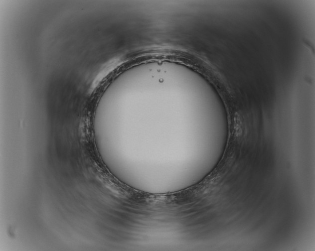 X0000103431352200809261721