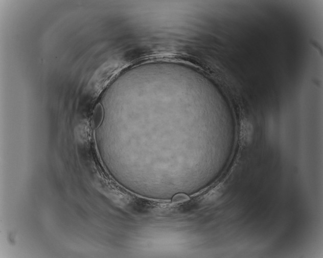 X0000103431353200809261721