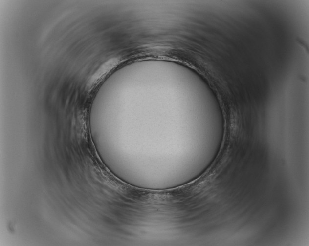 X0000103431354200809261721