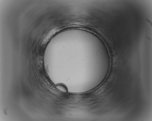 X0000103431355200809261721