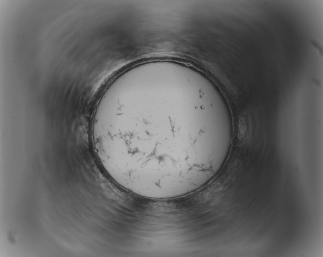 X0000103431356200809261721