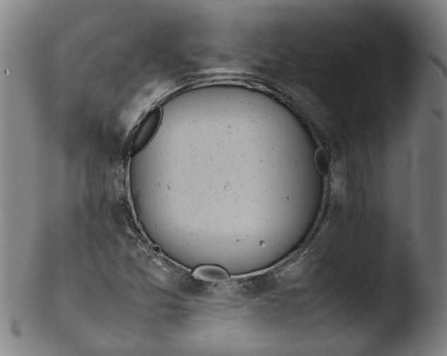 X0000103431357200809261721