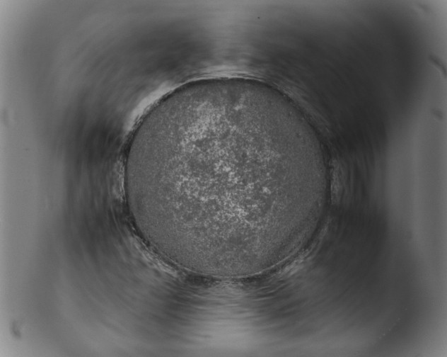 X0000103431358200809261721