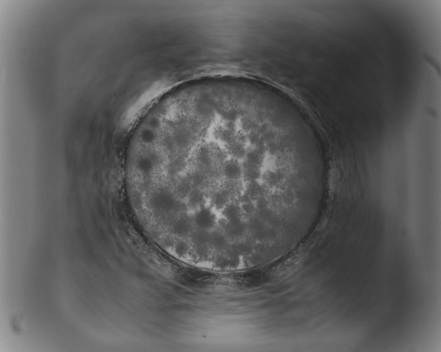 X0000103431359200809261721